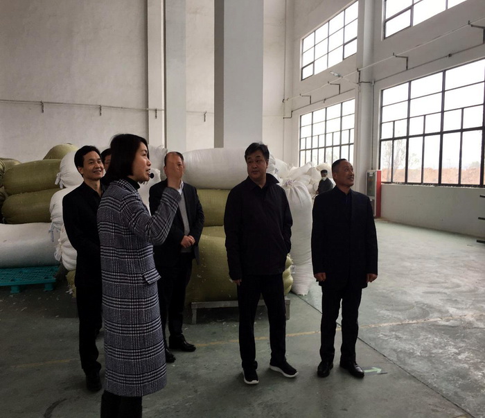 徽商銀行吳學民董事長、安慶分行洪少平行長一行蒞臨鴻潤公司視察指導